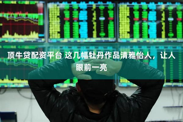 顶牛贷配资平台 这几幅牡丹作品清雅怡人，让人眼前一亮
