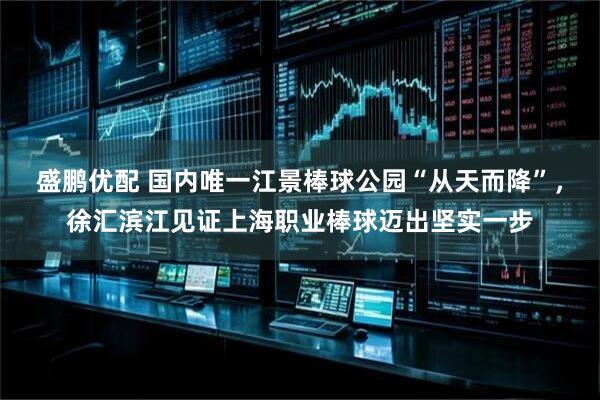 盛鹏优配 国内唯一江景棒球公园“从天而降”，徐汇滨江见证上海职业棒球迈出坚实一步